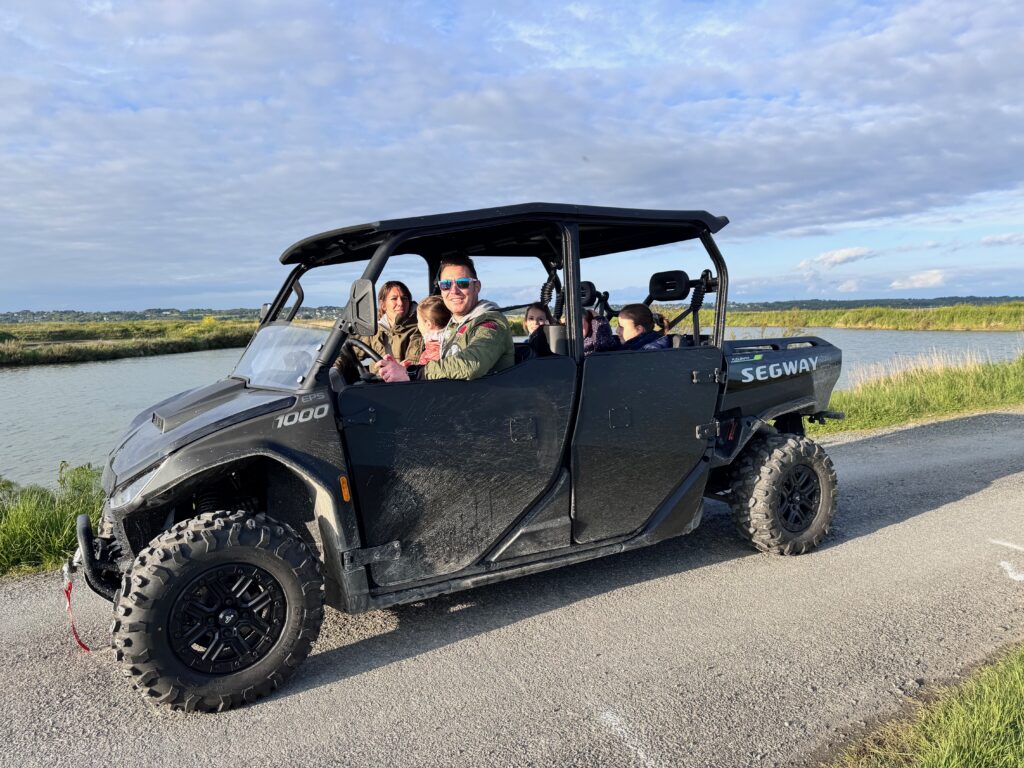 buggy_2